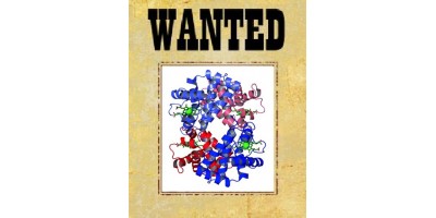 Antibody-points Bulletin: GSK3A