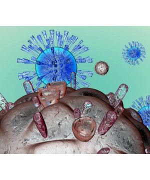ViroVision™ Infection Medium (200 µl)