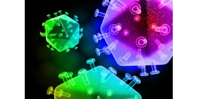 anti-HiV Drug Screening with ViroVision