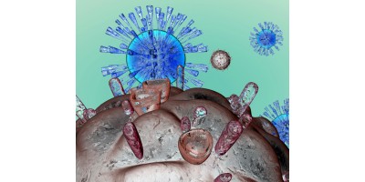 Understanding How HIV Beats Early Immune Response
