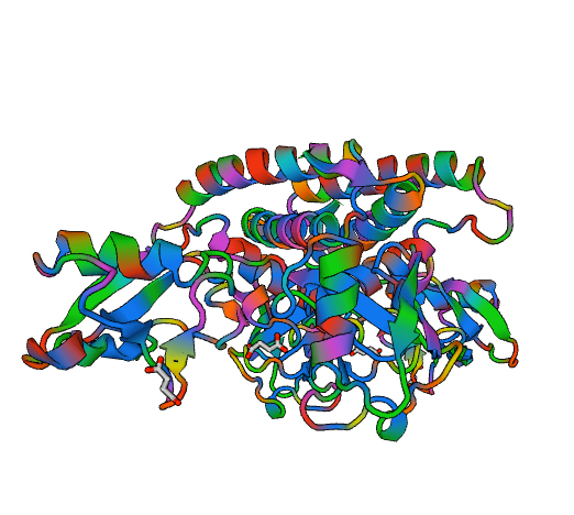 Be on the lookout for: ISG15. Ubiquitin-like protein which plays a key role in the innate immune response to viral infection either via its conjugation to a target protein (ISGylation) or via its action as a free or unconjugated protein.