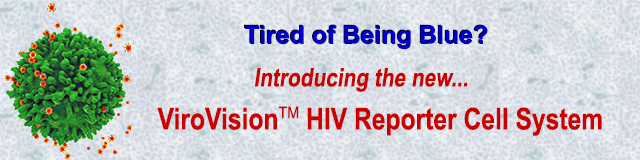 Introducing a new HIV Reporter Cell System: ViroVision